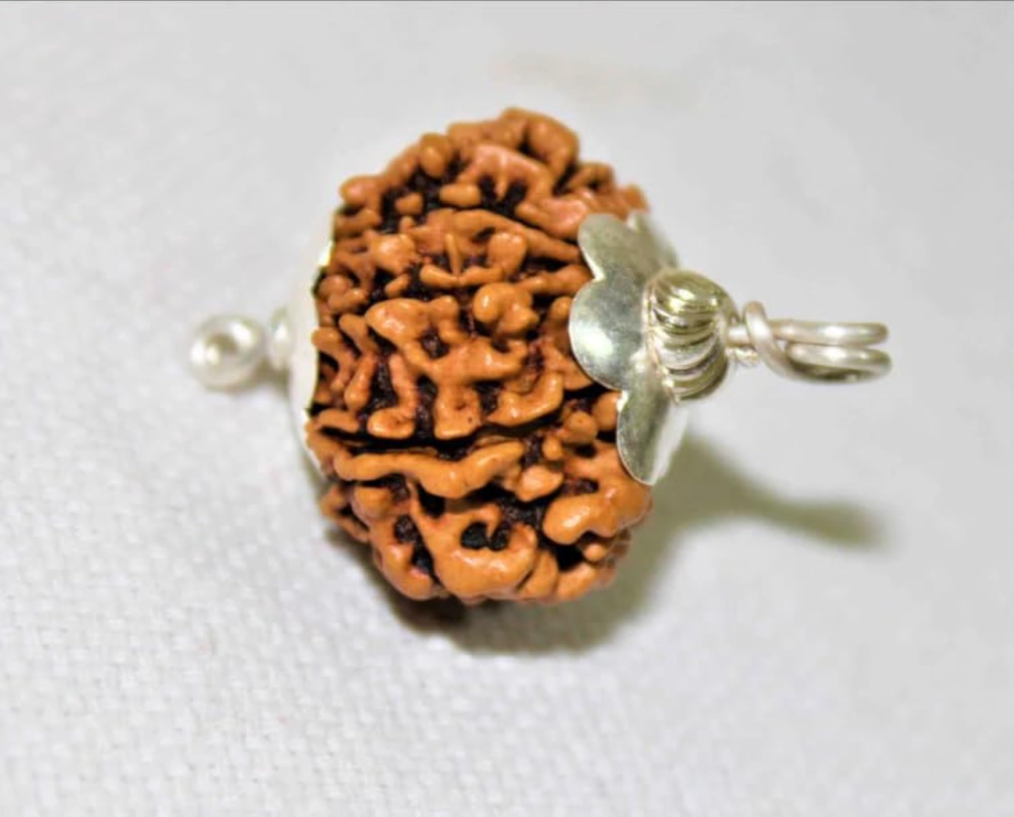 Genuine 11 Face Rudraksha Pendant Certified by Lab